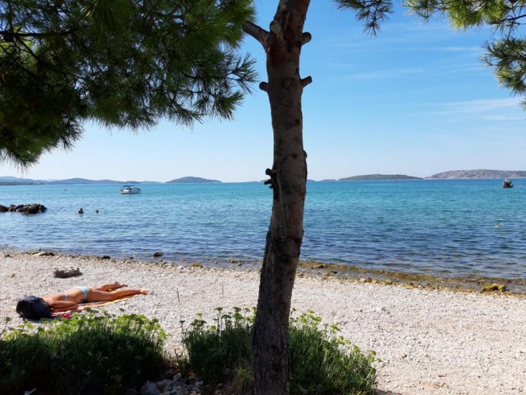 Guesthouse Brodarica Sibenik Bagian luar foto